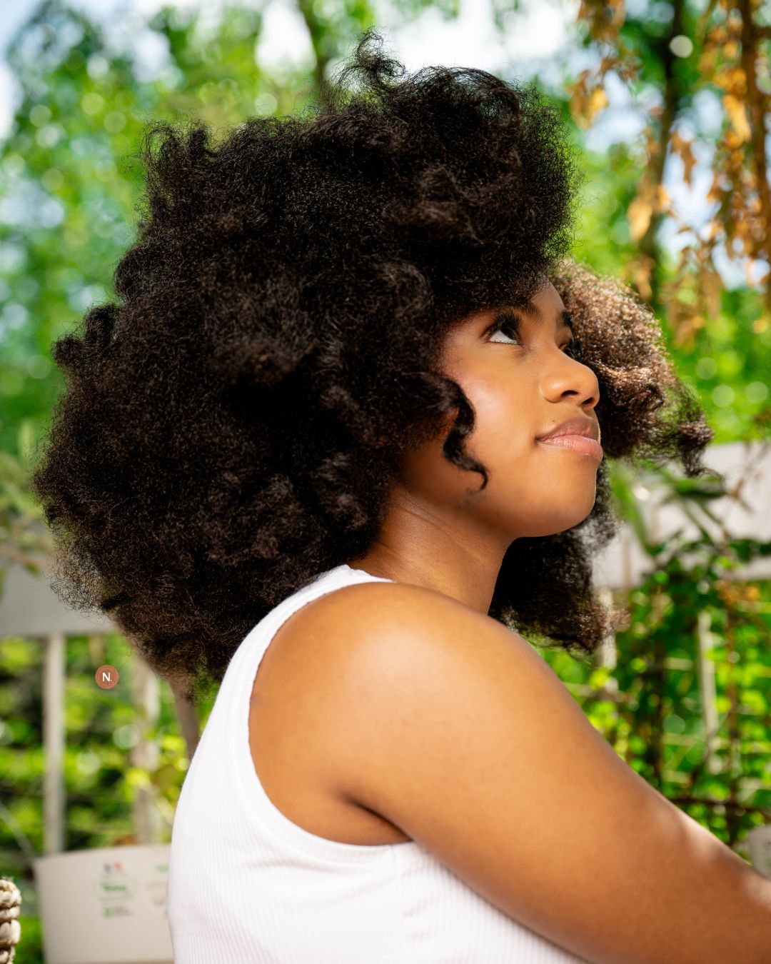 EXTENSIONS À CLIPS KINKY CURLY
