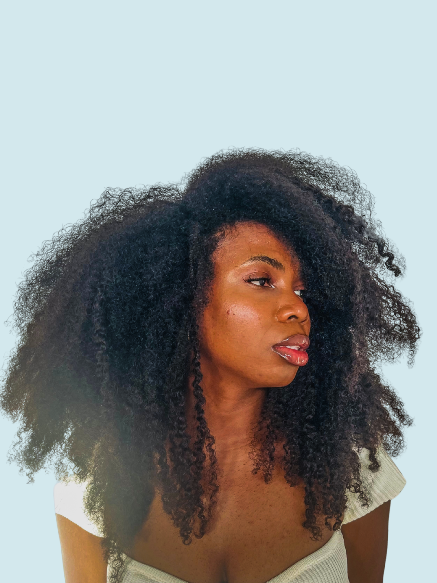 EXTENSIONS À CLIPS  4B/4C